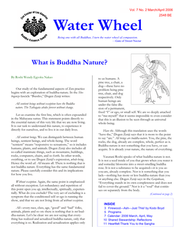 What Is Buddha Nature?