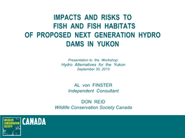 Impacts and Risks to Fish and Fish Habitats of Proposed Next Generation Hydro Dams in Yukon