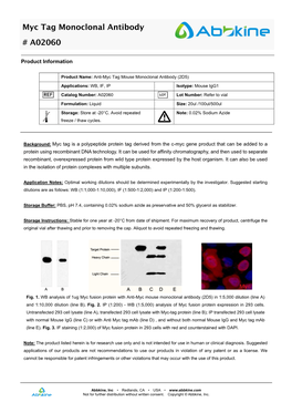 Myc Tag Monoclonal Antibody # A02060