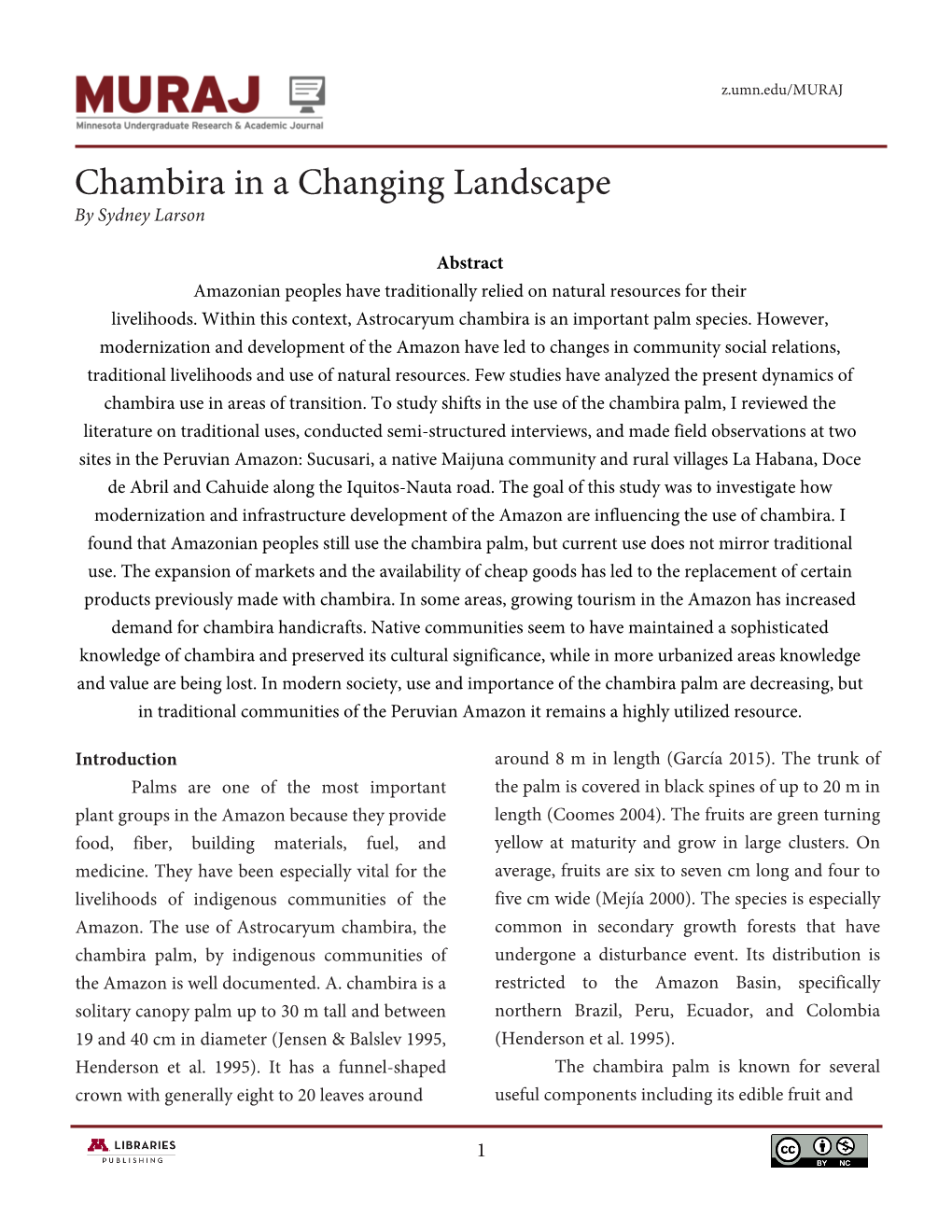 Chambira in a Changing Landscape by Sydney Larson