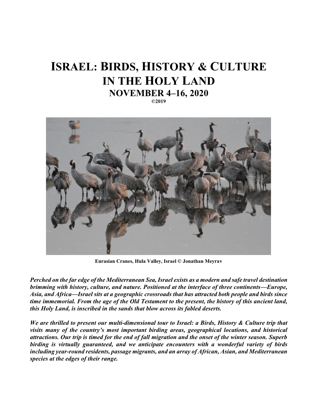 Israel: Birds, History & Culture in the Holy Land