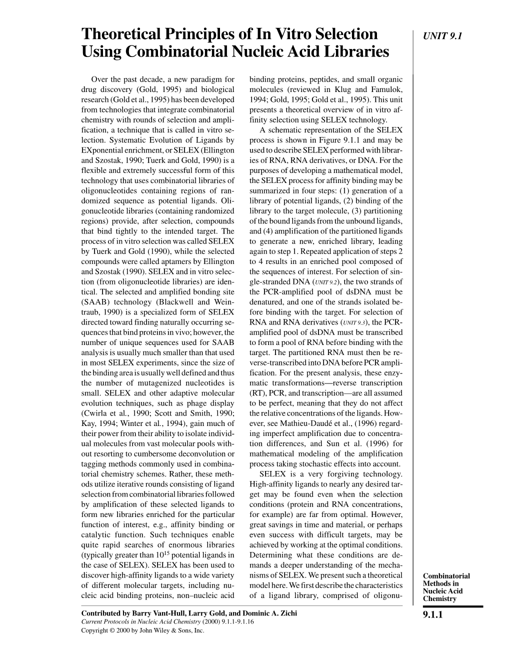 Theoretical Principles of in Vitro Selection Using Combinatorial