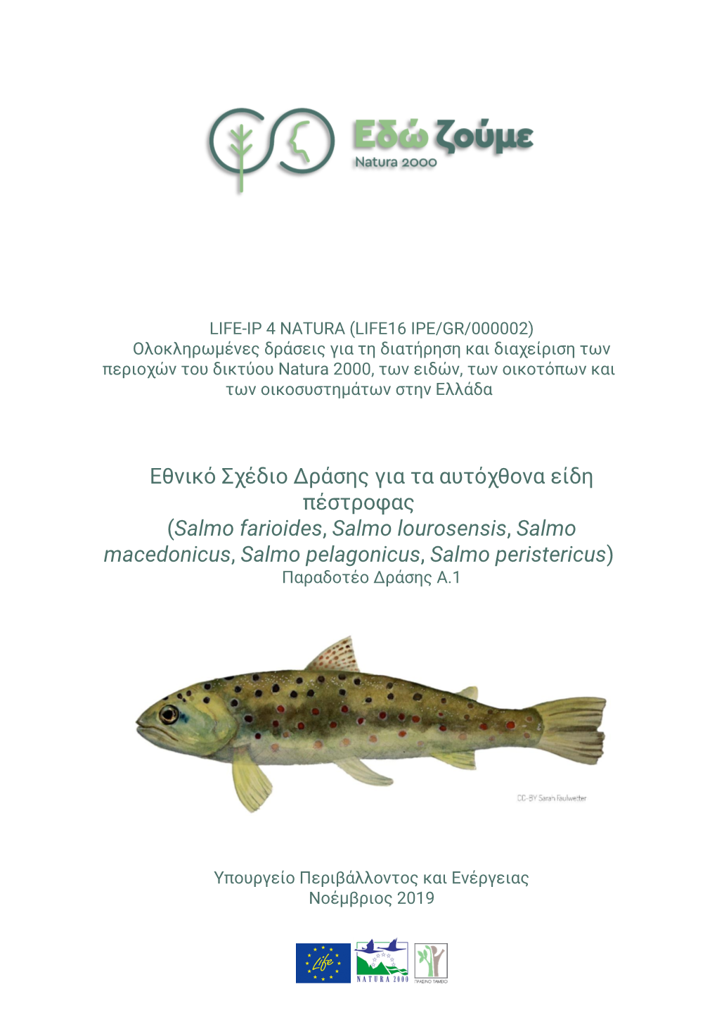 LIFE-IP-4-NATURA-Salmo-Species