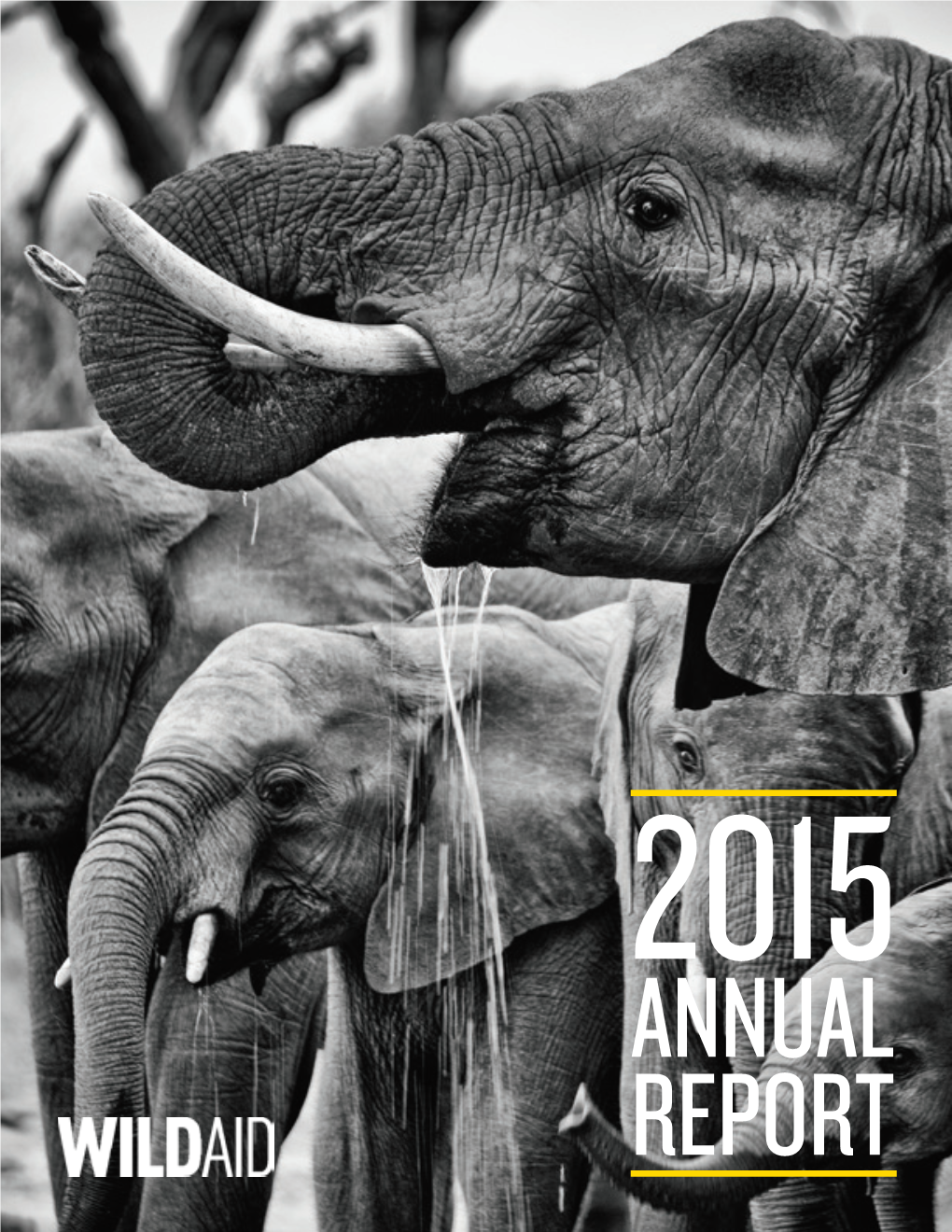 2015 Annual Report Our Vision from the Ceo