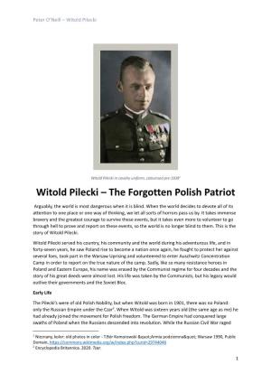 Witold Pilecki – the Forgotten Polish Patriot -Mary Elmes Competition.Docx