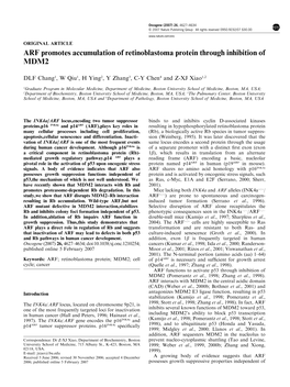 ARF Promotes Accumulation of Retinoblastoma Protein Through Inhibition of MDM2