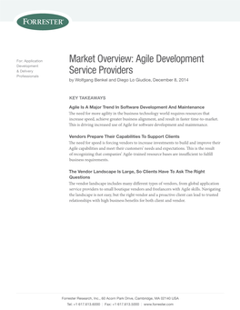 Market Overview: Agile Development Service Providers
