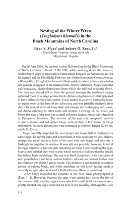Nesting of the Winter Wren (Troglodytes Hiemalis) in the Black Mountains of North Carolina Ryan S