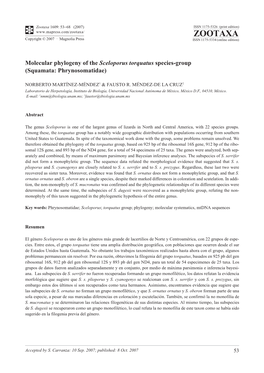 Zootaxa,Molecular Phylogeny of the Sceloporus Torquatus Species-Group
