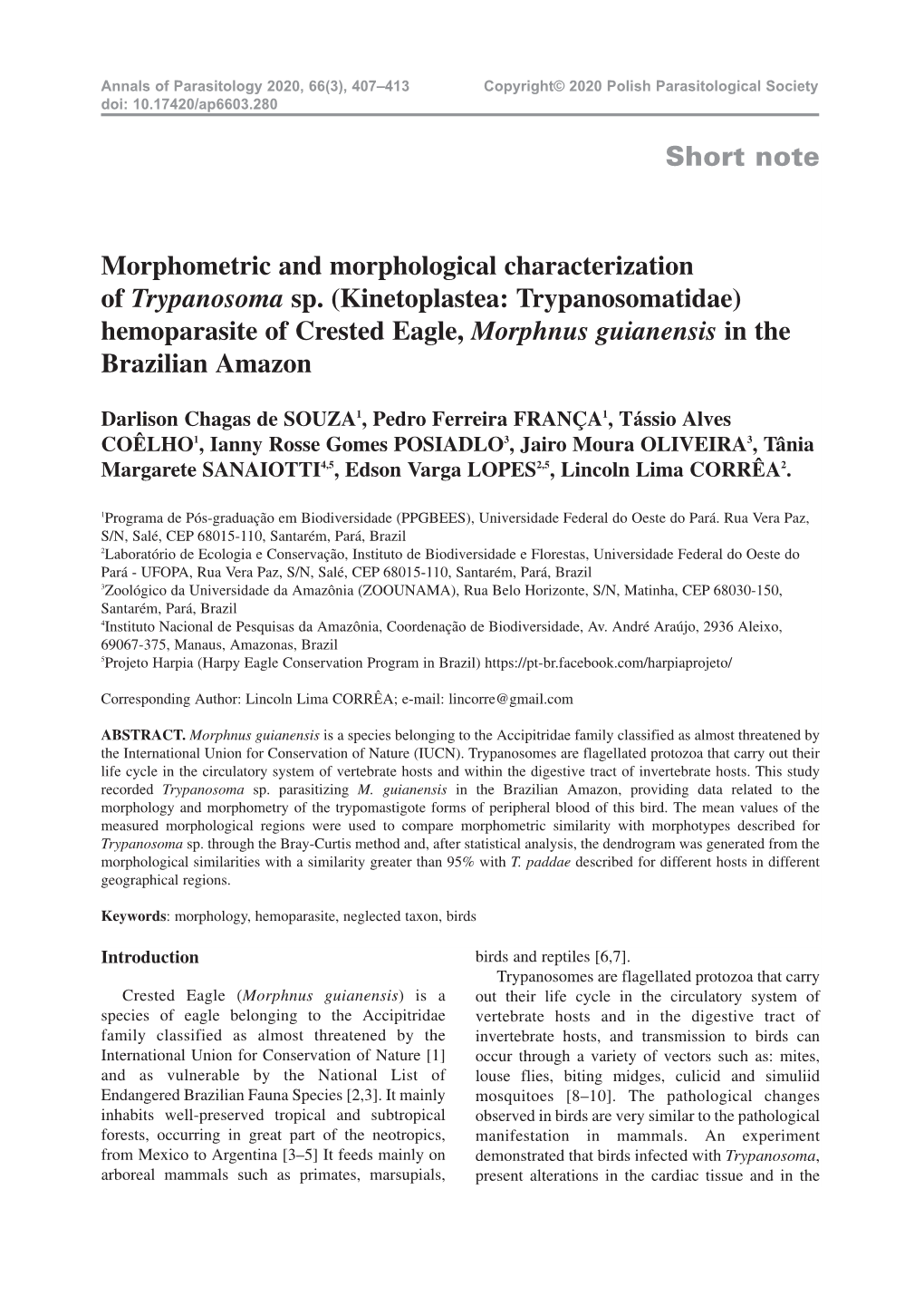 Kinetoplastea: Trypanosomatidae