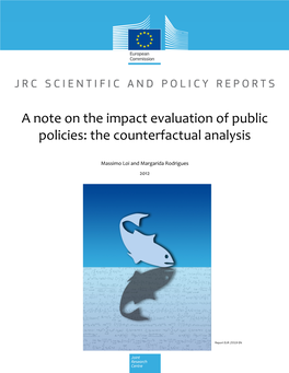 A Note on the Impact Evaluation of Public Policies: the Counterfactual Analysis