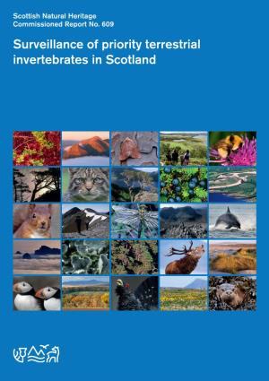 Surveillance of Priority Terrestrial Invertebrates in Scotland