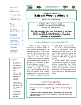 Balsam Woolly Adelgid Management