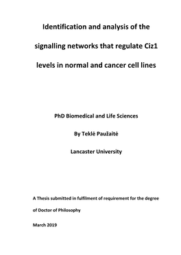 Identification and Analysis of the Signalling Networks That Regulate Ciz1 Levels in Normal and Cancer Cell Lines