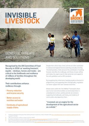 Invisible Livestock Policy Briefing