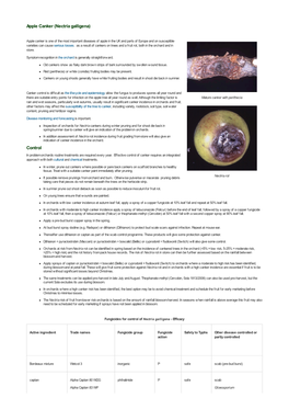 Apple Canker (Nectria Galligena) Control