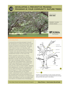 Developing a PREVENTIVE PRUNING PROGRAM in Your Community: Mature TREES