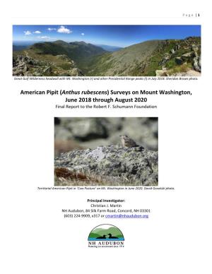 American Pipit (Anthus Rubescens) Surveys on Mount Washington, June 2018 Through August 2020 Final Report to the Robert F