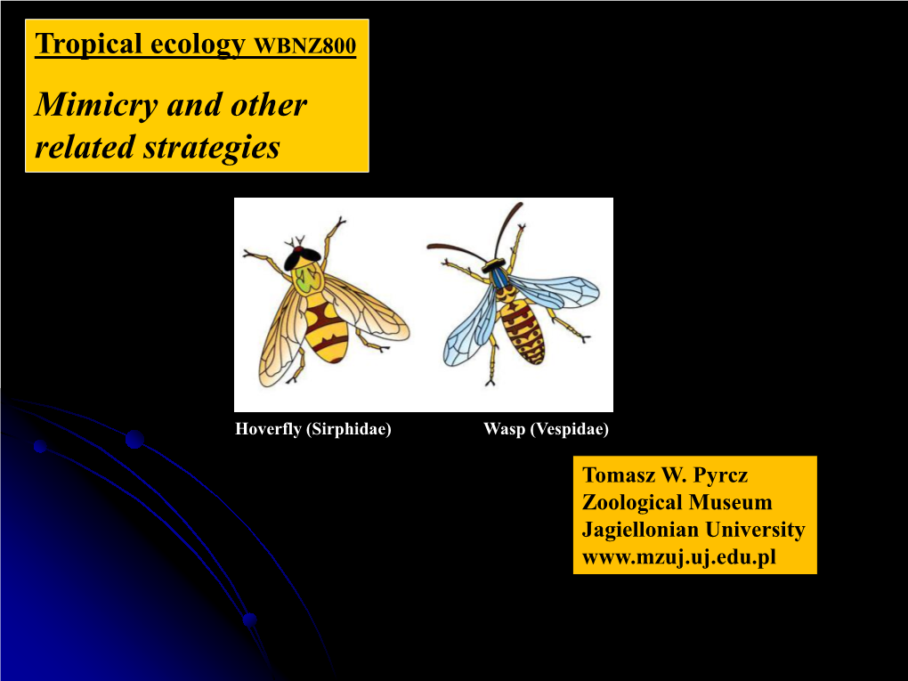 Mimicry and Other Related Strategies