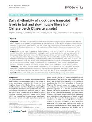 Daily Rhythmicity of Clock Gene Transcript Levels in Fast and Slow