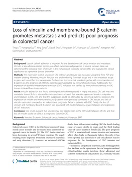 Loss of Vinculin and Membrane-Bound Β-Catenin