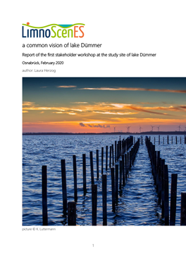 A Common Vision of Lake Dümmer