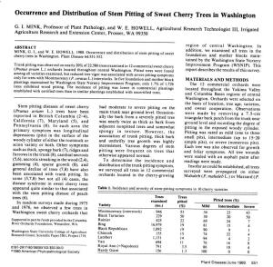 Occurrence and Distribution of Stem Pitting of Sweet Cherry Trees in Washington
