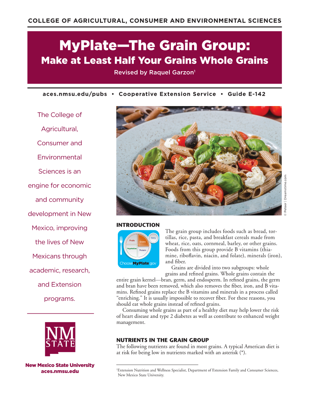 E-142: Myplate—The Grain Group