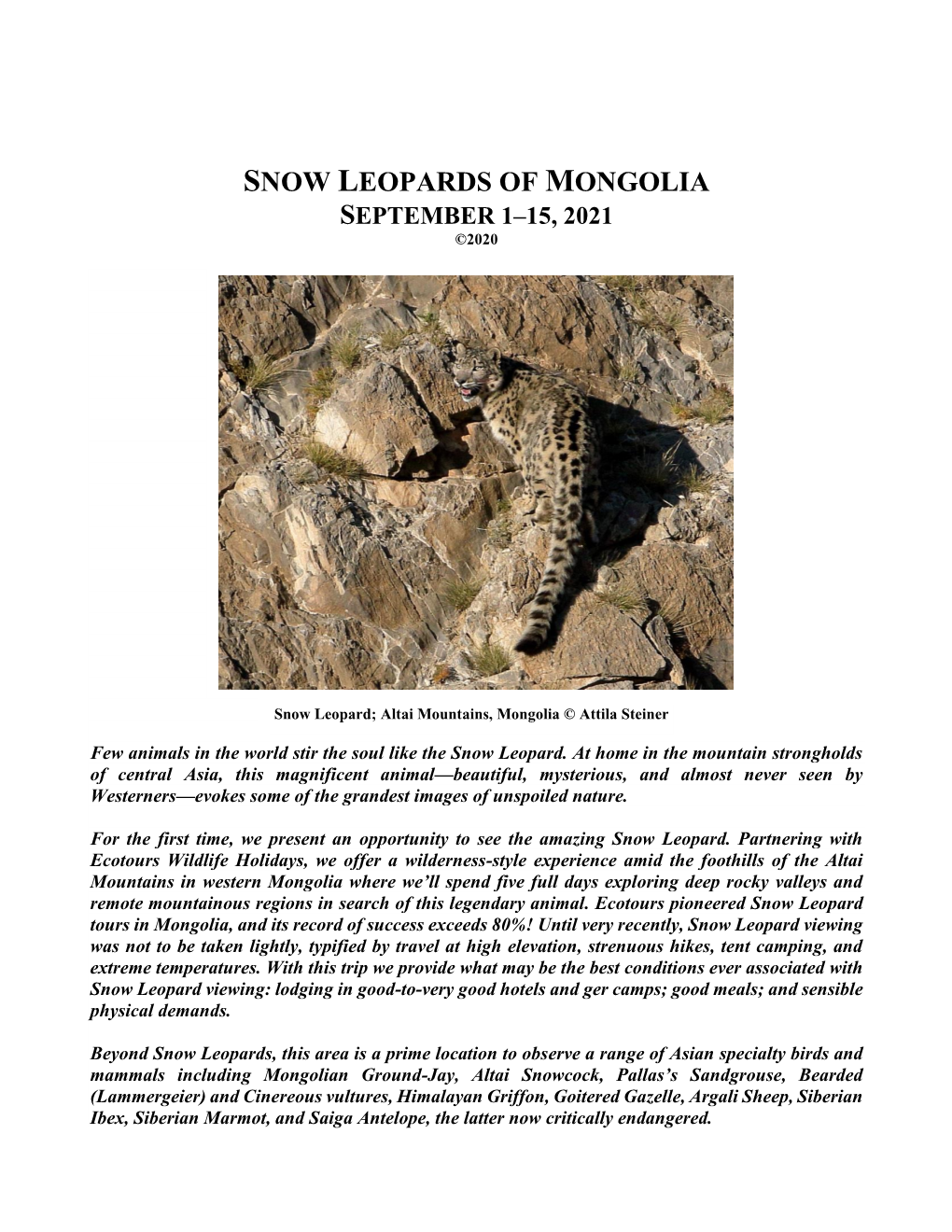 Snow Leopards of Mongolia September 1–15, 2021 ©2020