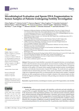 Microbiological Evaluation and Sperm DNA Fragmentation in Semen Samples of Patients Undergoing Fertility Investigation