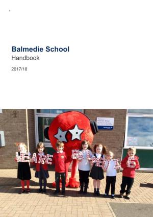 Introduction to Balmedie School 4