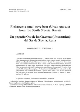 Pleistocene Small Cave Bear (Ursus Rossicus) from the South Siberia, Russia Un Pequeño Oso De Las Cavernas (Ursus Rossicus) Del Sur De Siberia, Rusia