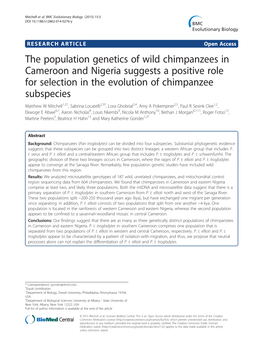 The Population Genetics of Wild Chimpanzees in Cameroon And