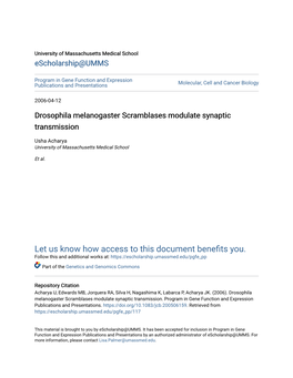 Drosophila Melanogaster Scramblases Modulate Synaptic Transmission