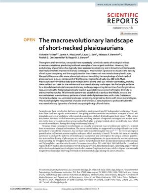 The Macroevolutionary Landscape of Short-Necked Plesiosaurians Collapsed to a Unimodal Distribution