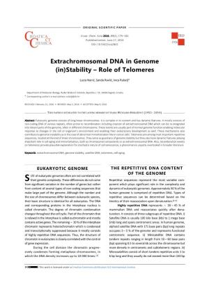 Extrachromosomal DNA in Genome (In)Stability – Role of Telomeres