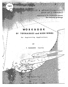 T. Theodore Fujita Professor of Meteorology the University of Chicago