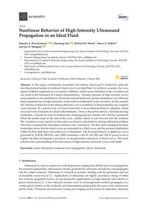 Nonlinear Behavior of High-Intensity Ultrasound Propagation in an Ideal Fluid