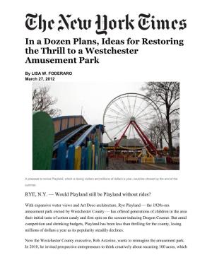 In a Dozen Plans, Ideas for Restoring the Thrill to a Westchester Amusement Park