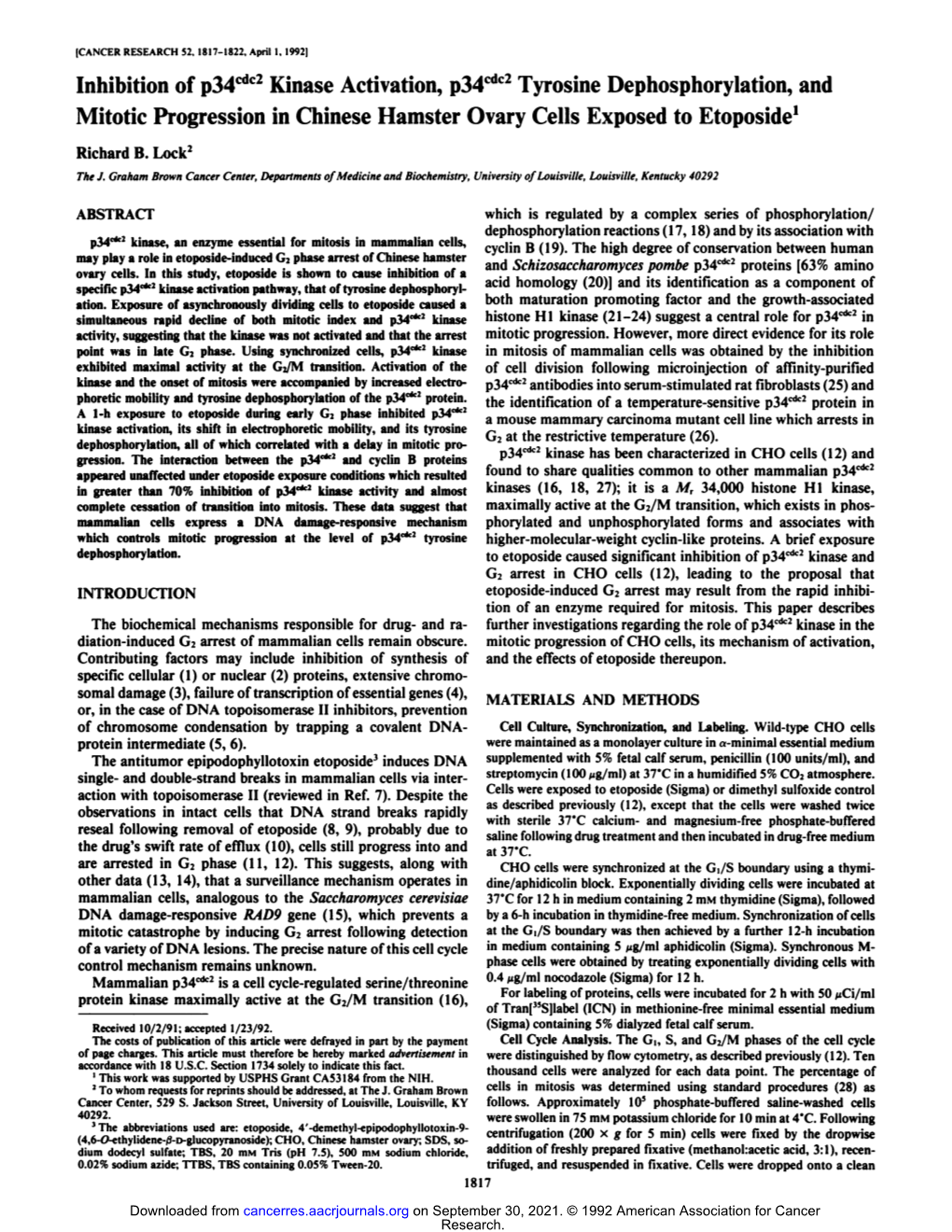 Inhibition of P34cdc2kinase Activation, P34cdc2tyrosine Dephosphorylation, and Mitotic Progression in Chinese Hamster Ovary Cells Exposed to Etoposide1