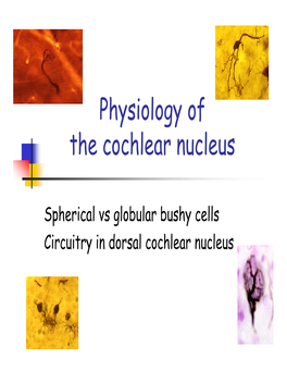 Physiology of the Cochlear Nucleus
