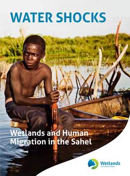 Water Shocks: Wetlands and Human Migration in the Sahel