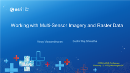 Working with Multi-Sensor Imagery and Raster Data