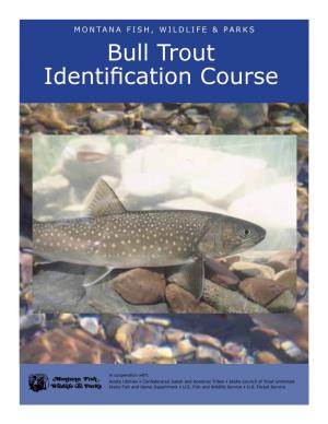 Bull Trout Identification Course