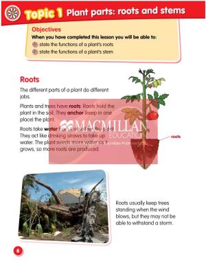 Topic 1 Plant Parts: Roots and Stems