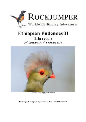 Ethiopian Endemics II Trip Report