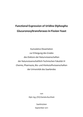 Functional Expression of Uridine Diphospho Glucuronosyltransferases in Fission Yeast