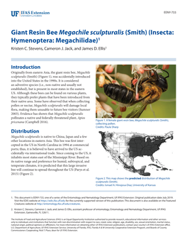Giant Resin Bee Megachile Sculpturalis (Smith) (Insecta: Hymenoptera: Megachilidae)1 Kristen C
