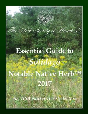 Solidago Notable Native Herb™ 2017