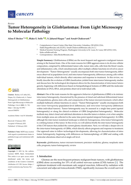 Tumor Heterogeneity in Glioblastomas: from Light Microscopy to Molecular Pathology